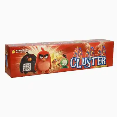Cluster